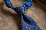 Grenadine Garza Fina Tie - Navy White Dots