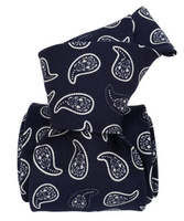 Silk Tie - Skulls Paisley